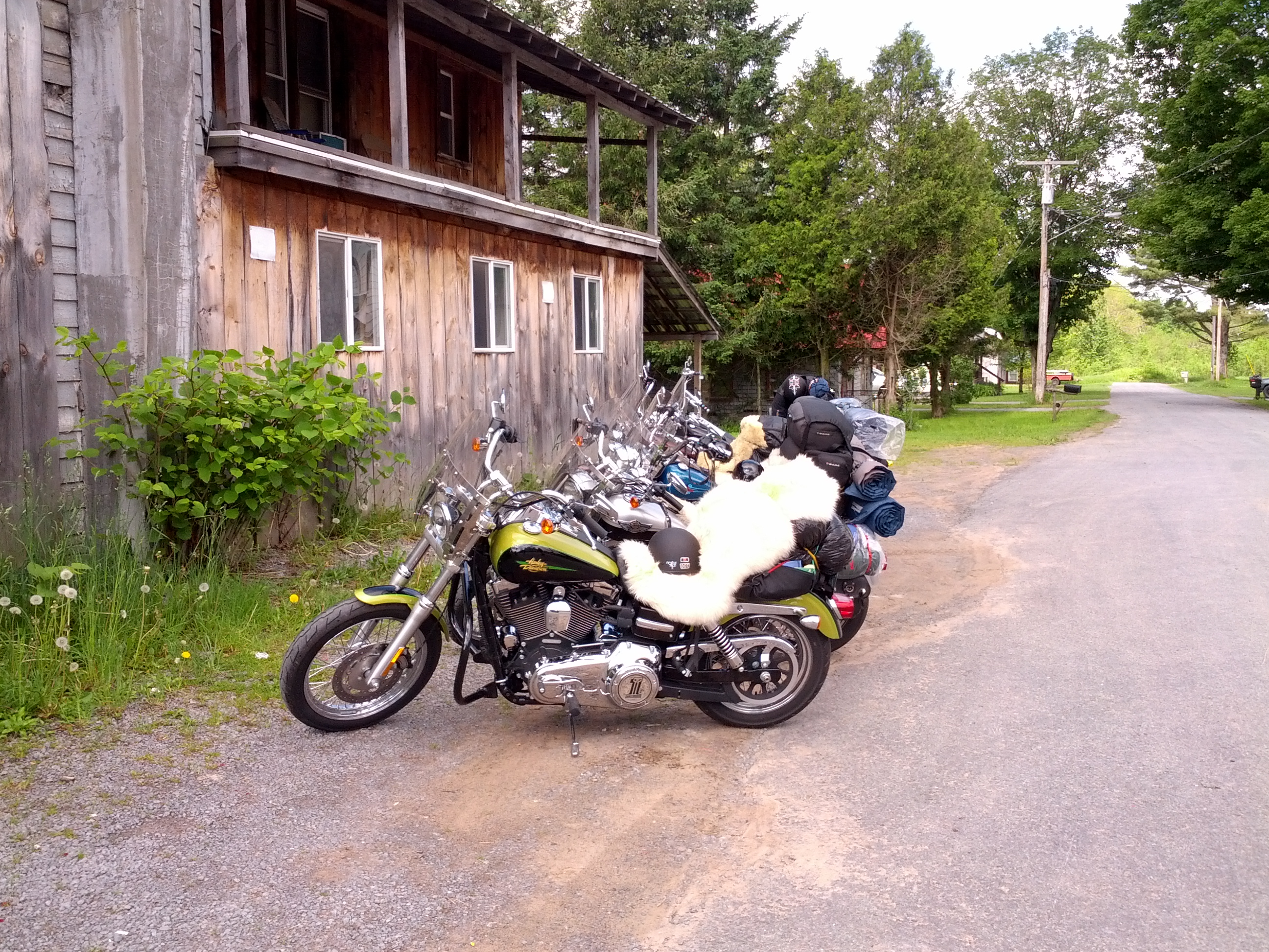 motorcycle sheepskin