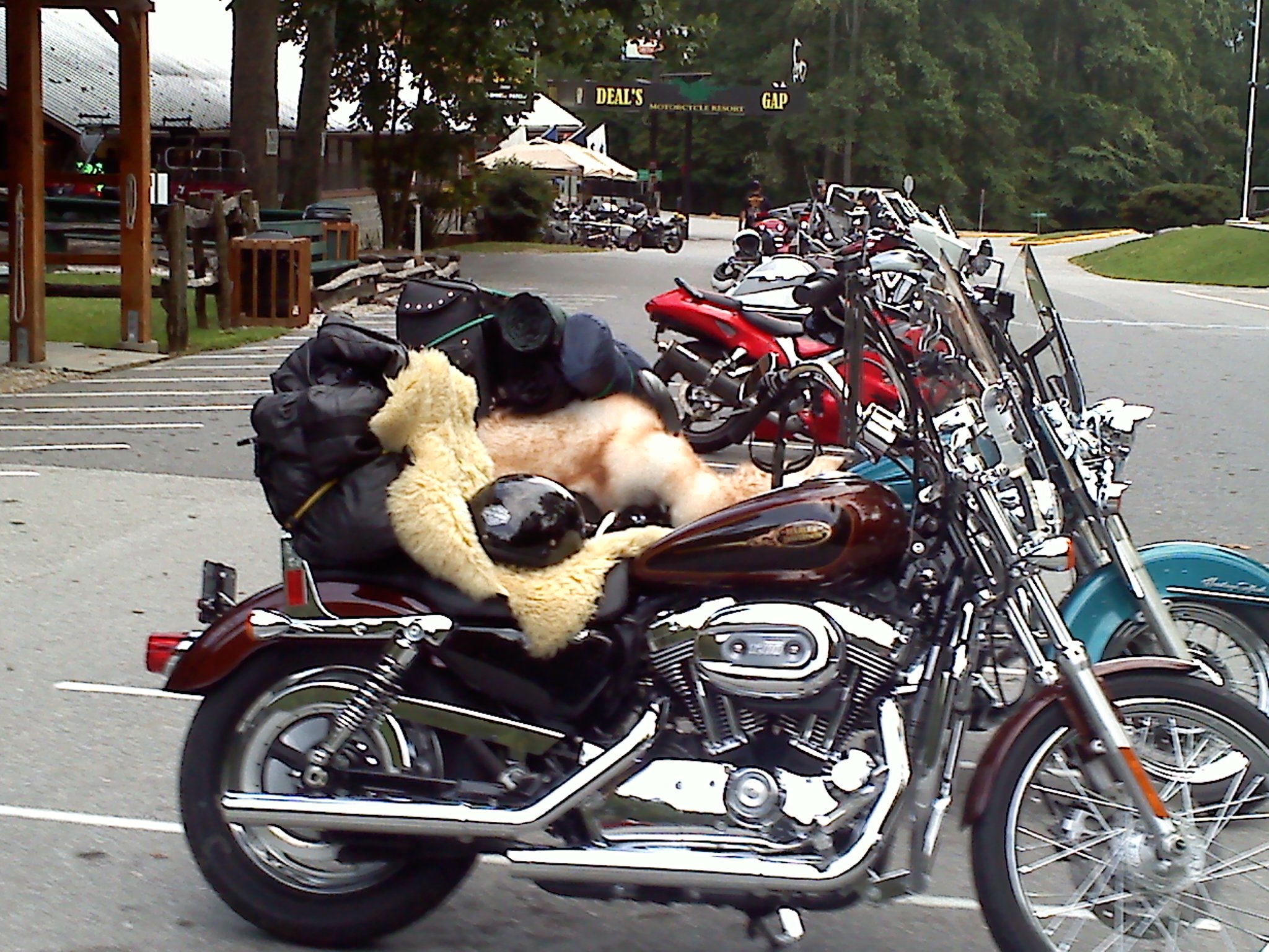 wallpapers Motorcycle Tail Of The Dragon Photos the dragon the blue ridge parkway